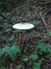 spotkanie Kregu 13_9_20004